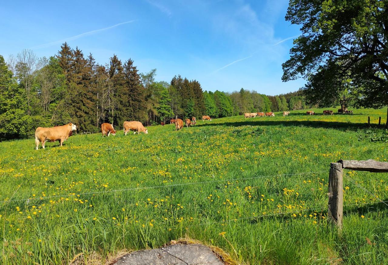 Zdomek Teplice nad Metuji Luaran gambar